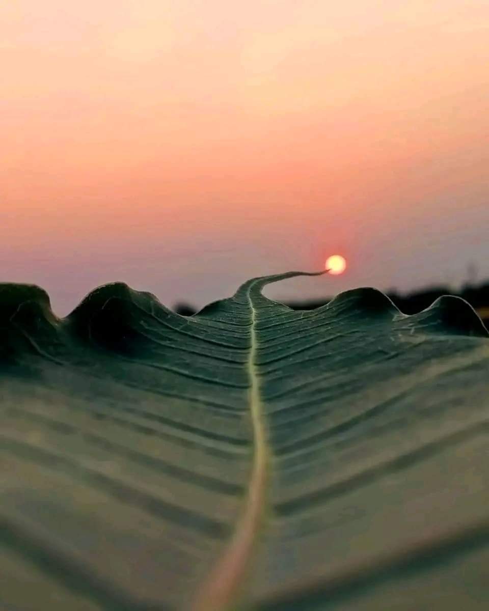  Équinoxe du Printemps 2026 